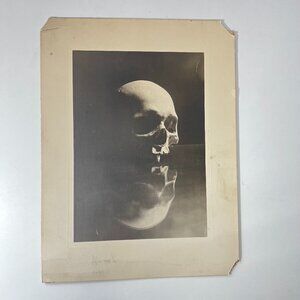 Haunting Beautiful Vintage B&W Skull Photograph Black And White Gothic Art